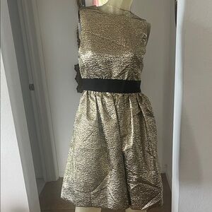 Brooks Brothers Gold Textured Party Dress